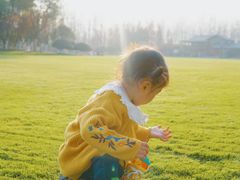 -合肥滨湖国家森林公园