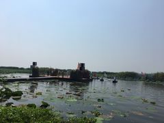 -洪湖生态旅游区