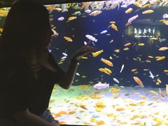 -成都浩海立方海洋公园