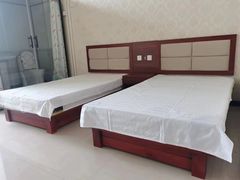 -白洋淀风景区