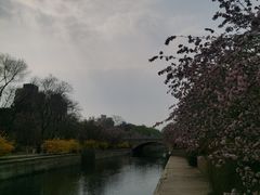 -元大都城垣遗址公园