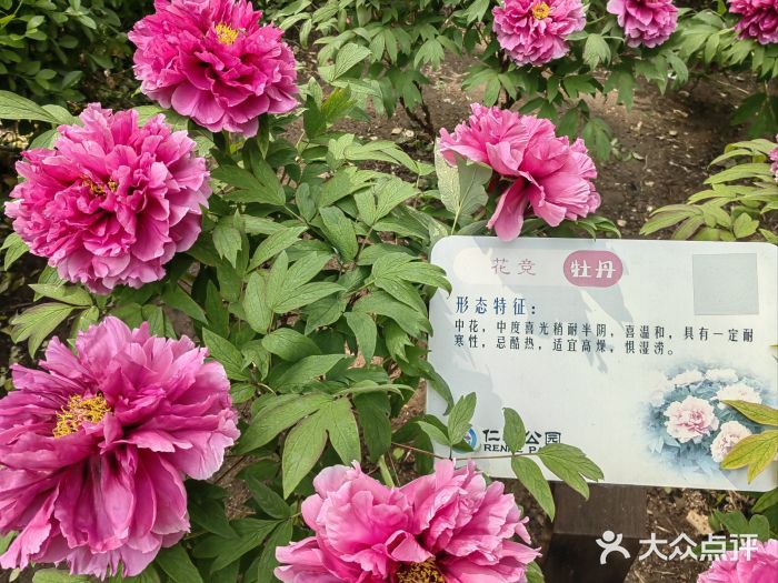 仁和公园(顺义区)图片