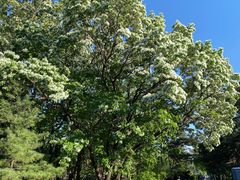 -国家植物园南园