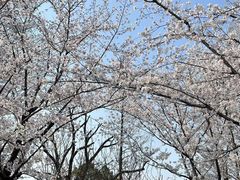 -堤角公园