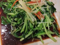-正兴蜀园(科技园区店)