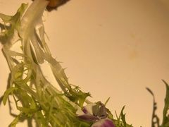 -德香苑脆皮烤鸭·经典(爱融荟城店)