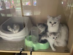 -萌宠亲子动物乐园(槐房万达店)