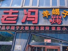 -老冯烤羊蝎子馆(望京店)