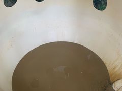 -100蛋泥浆浴