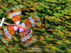 -罗红摄影艺术馆