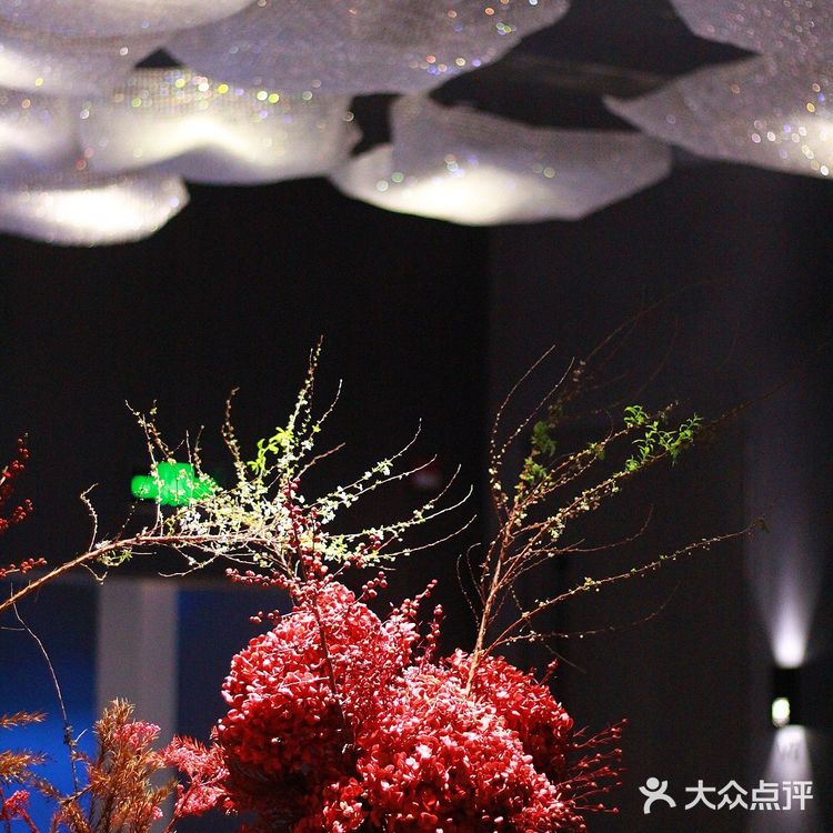 深圳万象城潮汕菜🔹像在海底约会