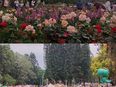 -人民公园(罗湖区)