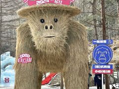 -洛阳白云山景区