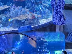 -左海海底世界