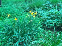 -国家植物园南园