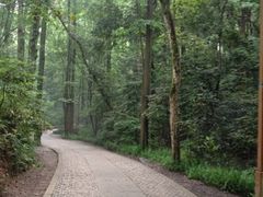 iphone_upload_pic-九溪烟树