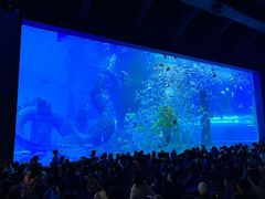 -哈尔滨波塞冬海底世界
