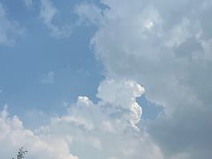 -东湖落雁景区