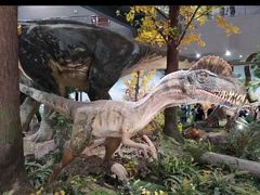 -湖南省地质博物馆