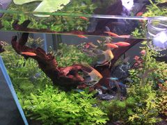 -高新活力汇Vitality