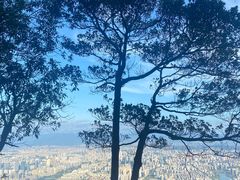 -鼓岭旅游度假区