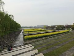 -南京眼步行桥