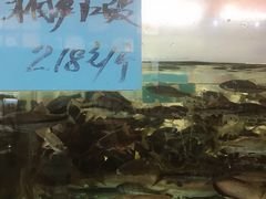 水产区-钓台野鱼馆(钱江国际时代广场店)