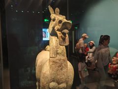 -广西壮族自治区博物馆