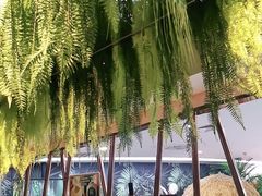 -三个椰子·现砍椰子鸡(金源CBD店)