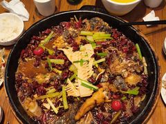 -老板恋上鱼(印象城店)