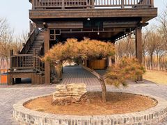 -天津东丽湖风景区