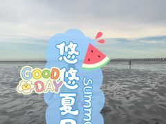 -南汇新城海滩