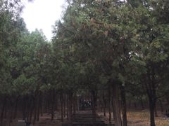 -青州市云门山风景区