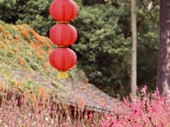 -桃花涧