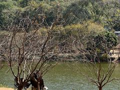 -南国桃园旅游度假区