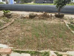 -红旗山庄(圭峰山店)