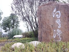 -白鹭湾湿地公园