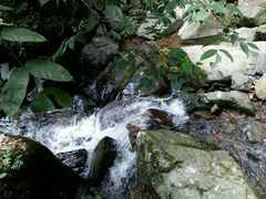 -藏龙百瀑风景区