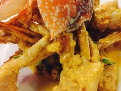 -Red Lobster