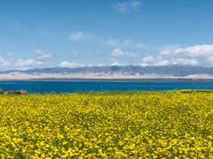 -青海湖国家重点风景名胜区