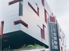 -广东省博物馆