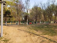 -长白岛森林公园