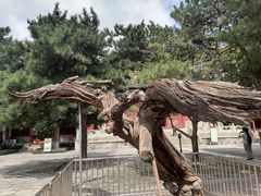 -大钟寺古钟博物馆