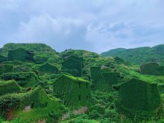 -枸杞岛
