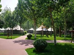 -九十九顶毡房(阜石路店)