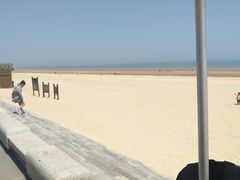 -日照海滨国家森林公园