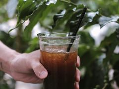 -Torch Coffee 炬点咖啡