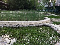 -活水公园