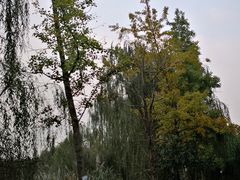 -白鹭湾湿地公园