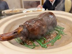 -阳光雷迪森广场酒店(中山东路店)